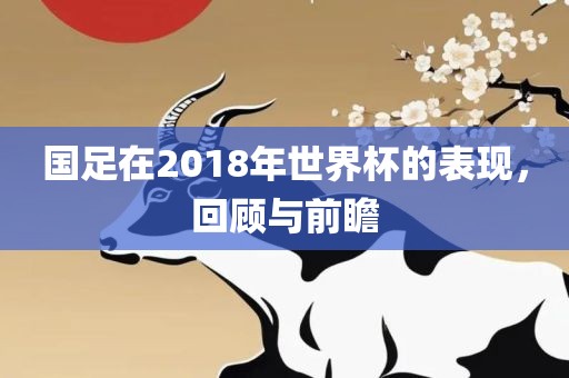国足在2018年世界杯的表现，回顾与前瞻漯河市盈旭机械设备有限公司