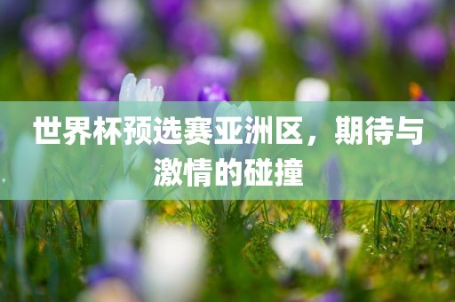 世界杯预选赛亚洲区，期待与激情的碰撞