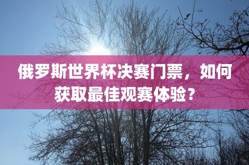 俄罗斯世界杯决赛门票，如何获取最佳观赛体验？