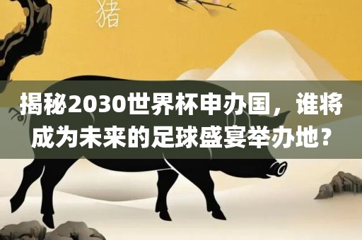 揭秘2030世界杯申办国，谁将成为未来的足球盛宴举办地？漯河市盈旭机械设备有限公司