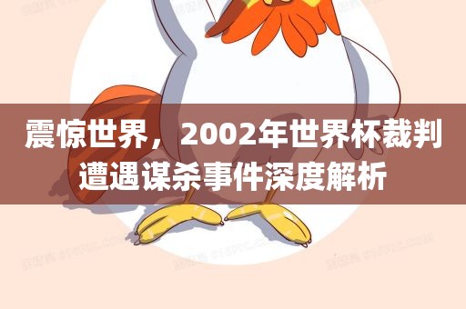 震惊世界，2002年世界杯裁判遭遇谋杀事件深度解析