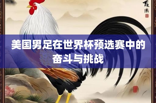 美国男足在世界杯预选赛中的奋斗与挑战