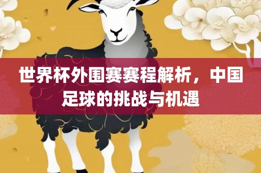 世界杯外围赛赛程解析，中国足球的挑战与机遇