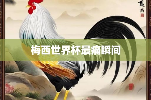 梅西世界杯最痛瞬间