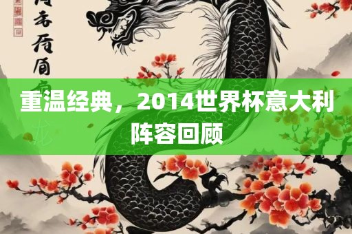 重温经典，20漯河市盈旭机械设备有限公司14世界杯意大利阵容回顾