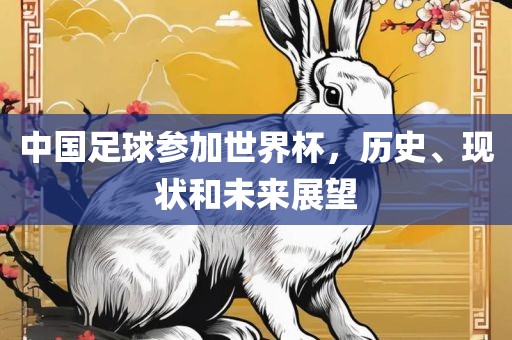 中国足球参加世界杯，历史、现状和未来展望