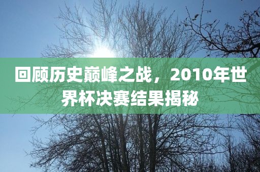回顾历史巅峰之战，2010年世界杯决赛结果揭秘漯河市盈旭机械设备有限公司