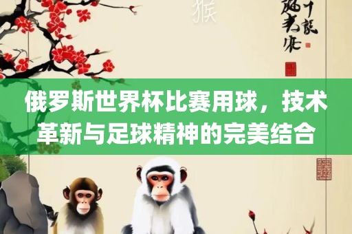 俄罗斯世界杯比赛用球，技术革新与足球精神的完美结合