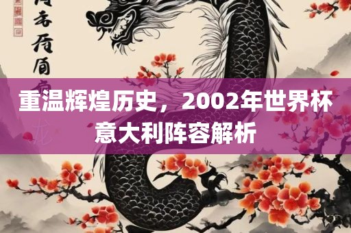 重温辉煌历史，2002年世界杯意大利阵容解析