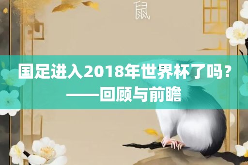 国足进入2018年世界杯了吗？——回顾与前瞻
