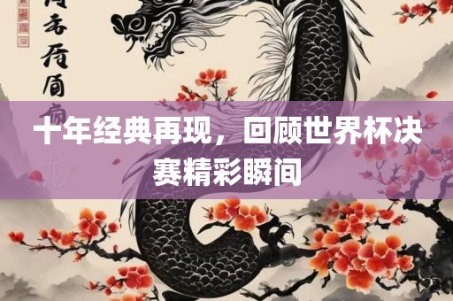 十年经典再现，回顾世界杯决赛精彩瞬间