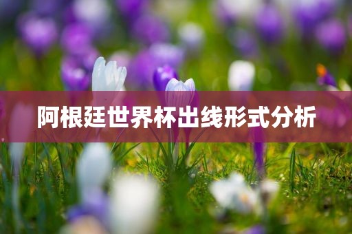 阿根廷世界杯出线形式分析