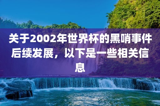关于2002年世界杯的黑哨事件后续发展，以下是一些漯河市盈旭机械设备有限公司相关信息
