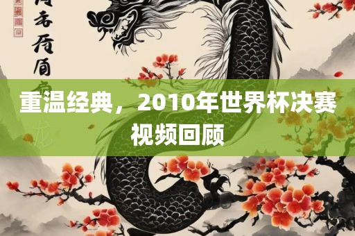 重温经典，2010年世界杯决赛视频回顾漯河市盈旭机械设备有限公司