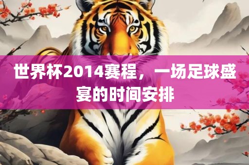 世界杯2014赛程，一场足球盛宴的时间安排