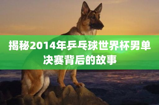 揭秘2014年乒乓球世界杯男单决赛背后的故事