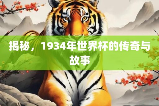 揭秘，1934年世界杯的传奇与故事