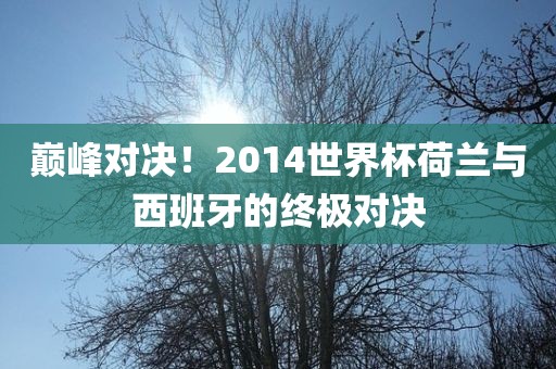 巅峰对决！2014世界杯荷兰与西班牙的终极对决漯河市盈旭机械设备有限公司