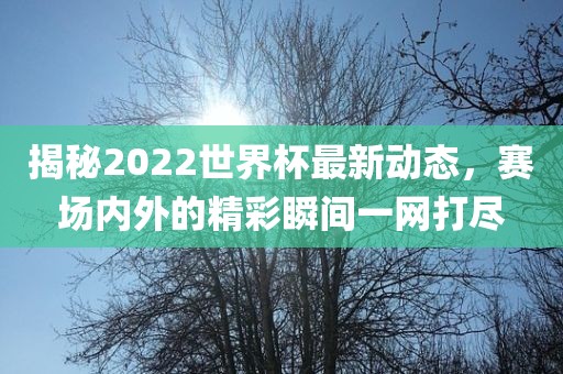 揭秘2022世界杯最新动态，赛场内外的精彩瞬间一网打尽