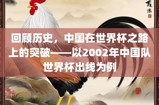 回顾历史，中国在世界杯之路上的突破——以2002年中国队世界杯出线为例漯河市盈旭机械设备有限公司
