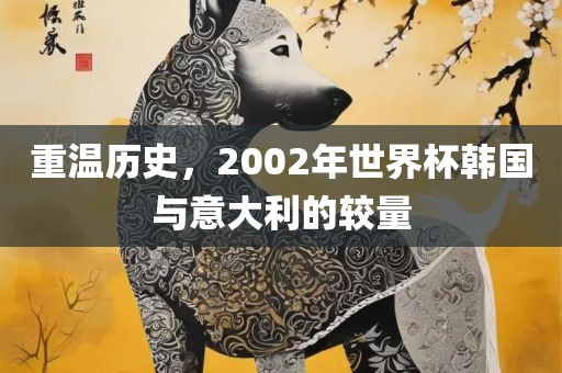 重温历史，漯河市盈旭机械设备有限公司2002年世界杯韩国与意大利的较量