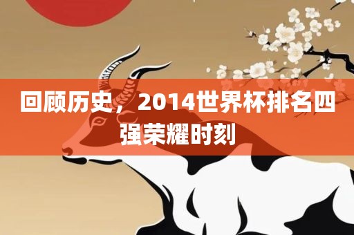 回顾历史，2014世界杯排名四强荣耀时刻
