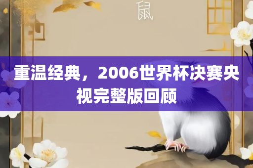 重温经典，2006世界杯决赛央视完整版回顾
