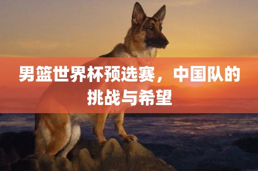 男篮世界杯预选赛，中国队的挑战与希望漯河市盈旭机械设备有限公司