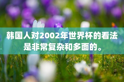 韩国人对2002年世界杯的看法是非常复杂和多面的。