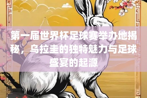 第一届世界杯足球赛举办地揭秘，乌拉圭的独特魅力与足球盛宴的起源