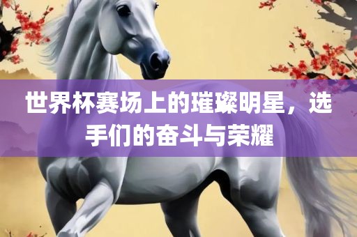 世界杯赛场上的璀璨明星，选手们的奋斗与荣耀