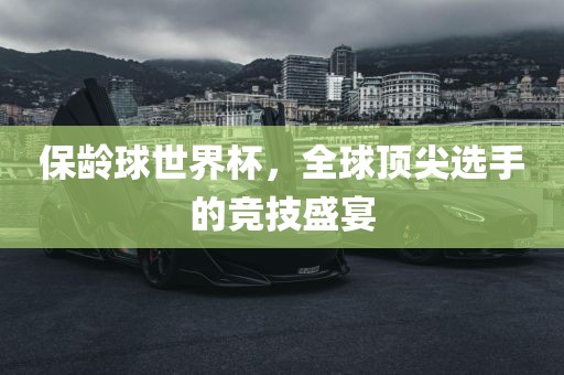 huamei 第4页