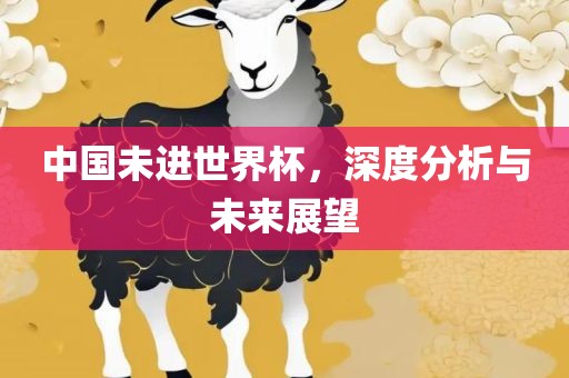 中国未进世界杯，深度分析与未来展望