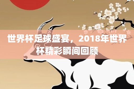 漯河市盈旭机械设备有限公司世界杯足球盛宴，2018年世界杯精彩瞬间回顾