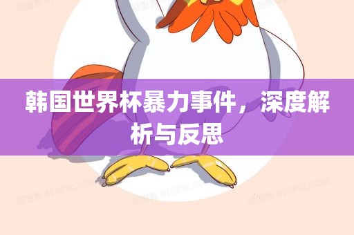 韩国世界杯暴力事件，深度解析与反思