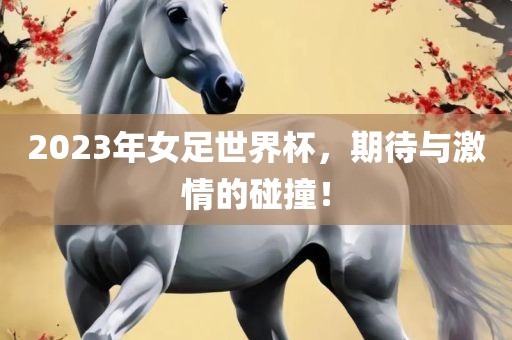 2023年女足世界杯，期待与激情的碰撞！