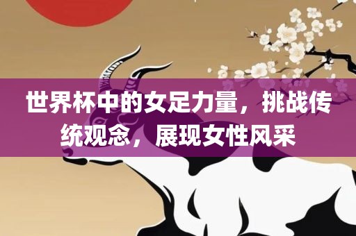 世界杯中的女足力量，挑战传统观念，展现女性风采漯河市盈旭机械设备有限公司