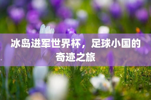 冰岛进军世界杯，足球小国的奇迹之旅漯河市盈旭机械设备有限公司