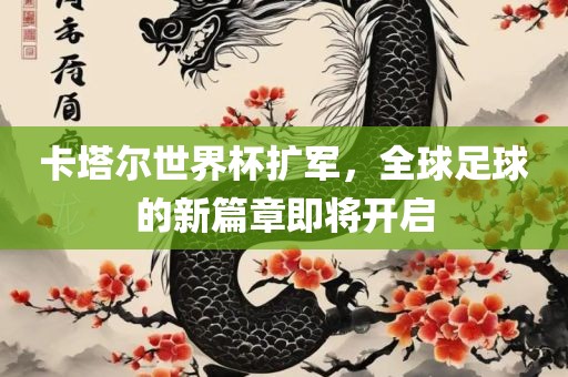 卡塔尔世界杯扩军，全球足球的新篇章即将开启漯河市盈旭机械设备有限公司