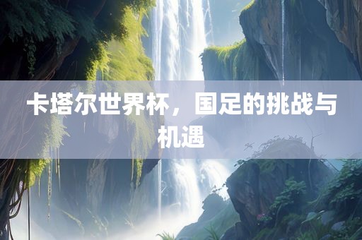 卡塔尔世界杯，国足的挑战与机遇