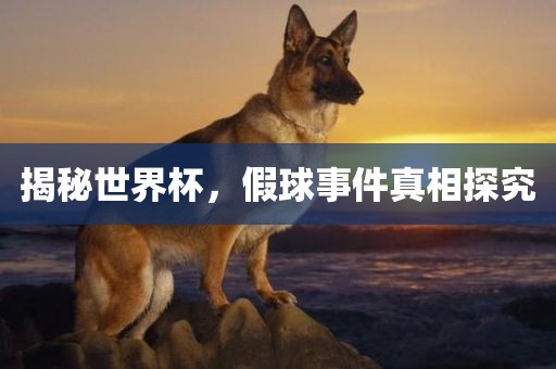揭秘世界杯，假球事件真相探究