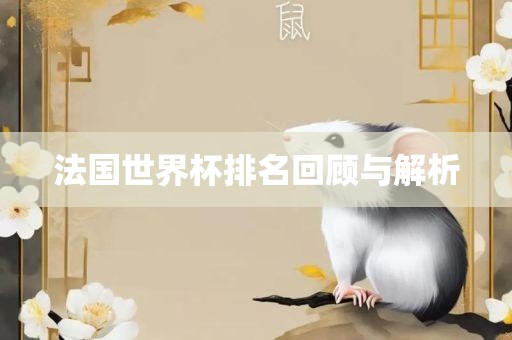 法国世界杯排名回顾与解析