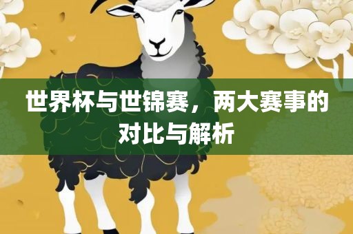 世界杯与世锦赛，两漯河市盈旭机械设备有限公司大赛事的对比与解析
