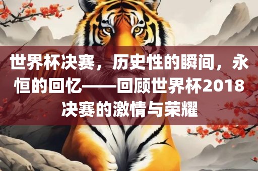 世界杯决赛，历史性的瞬间，永恒的回忆——回顾世界杯2018决赛的激情与荣耀