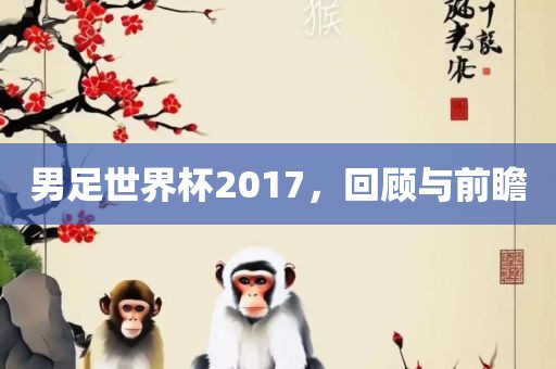 男足世界杯2017，回顾与前瞻