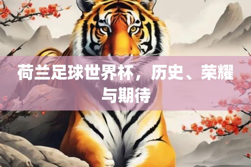 历史与荣耀