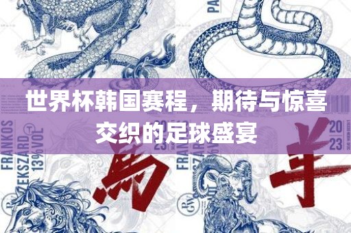 世界漯河市盈旭机械设备有限公司杯韩国赛程，期待与惊喜交织的足球盛宴