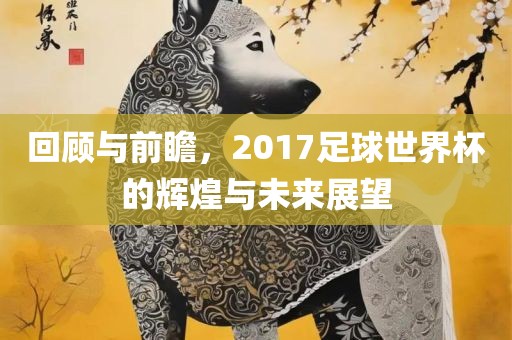 回顾与前瞻，2017足球世界杯的辉煌与未来展望