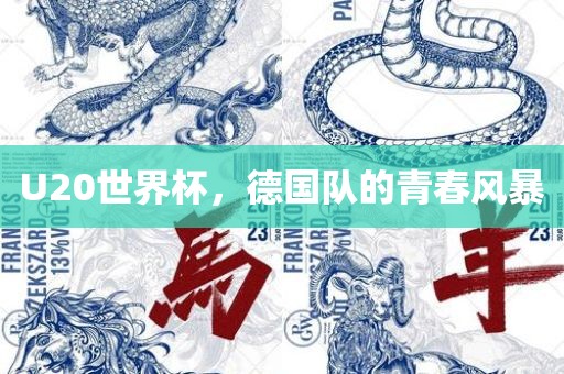 U20世界杯，德国队的青春风暴