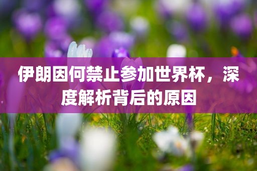 伊朗因何禁止参加世界杯，深度解析背后的原因
